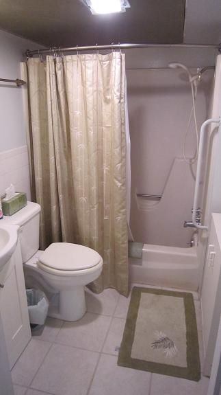 Bathroom (sink, shower & tub)